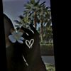 user61350443