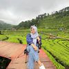 zarapenjahat08