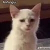 bat.coc.nguoi.dep