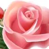 user2733611733984