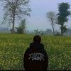 see_you_in._2025