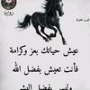user8402011785692