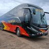 intimo310572