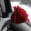 user5333619952007