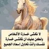 alsaedi.inas