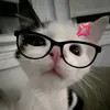 stesfk