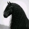 asenat.hashimi0
