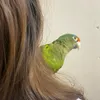 nicki_861