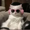 fe_rte2