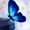 yalymued16k