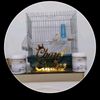 شرف الدين اشرف