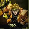 dio.511