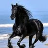 user13829450133904