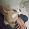 melany_18372