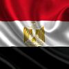shady.mohamed08
