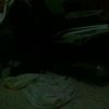 alzenah.aminah