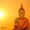 ဗုဒ္ဓတရားတော်များ