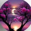 siddiq.seejattn