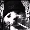 dly_km_gpp