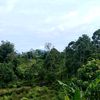 tiktokdenisetiawan08