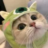 k.anh7736
