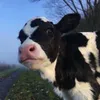 riuxi_4411