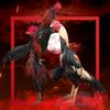 aldifarm2