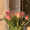 riyriy.hamed