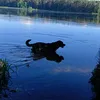 der_isi.fan