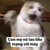 caythuevatrade