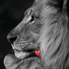 dima_wait.9777