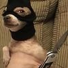 bandit__028
