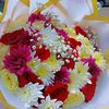 rosechege131