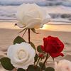user592605461614