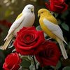 user588127961320