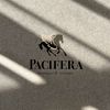 Pacifera Store