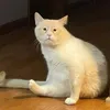 namtureview