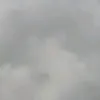 zs_vivihfx