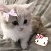 alina.pybeertatka