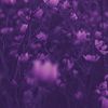 bells0463