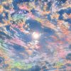sunflowrb5i