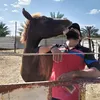 .ali54481