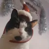 mollyx179