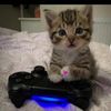 miguelgonzales0466