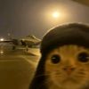 monkeylover5u4