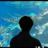 sukamain_fc22
