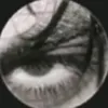 hhzz7930