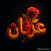 erfan.ali008