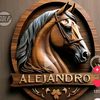 alejandro.valenzu8076