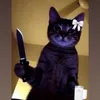 userr.lnae